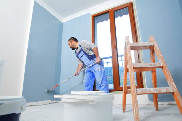 Best Wallpaper Removal and Painting  in Lake Nacimiento, CA